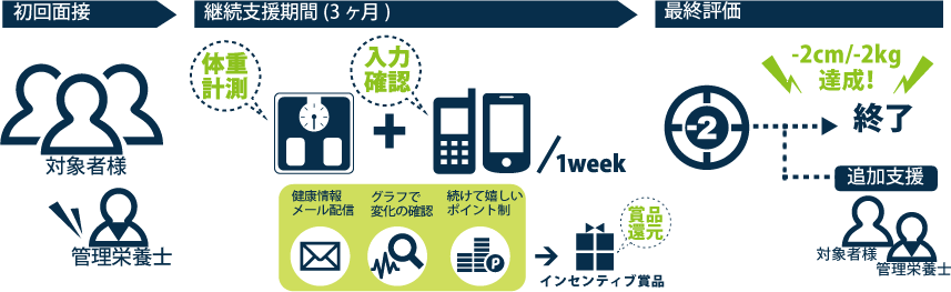 モデル実施